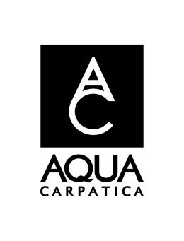 logo-AC-vertical-negru